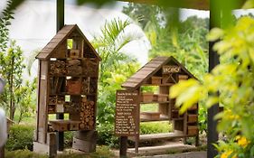 Green Me Organic Farm Khao Yai กรีนมี ออแกนิคฟาร์ม เขาใหญ่